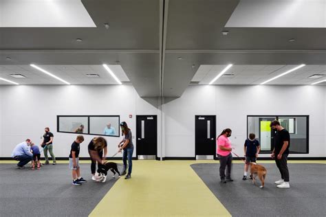 Neb humane society - The Grand Strand Humane Society is currently operating at three locations – Tanger Outlets off U.S. 501 with cats, the Mr. Joe White Avenue Extension building in Myrtle Beach for dogs and mobile ...
